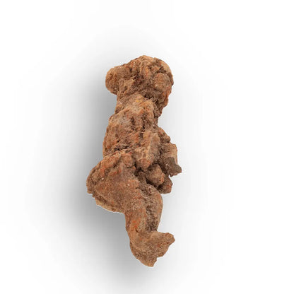 Get your Authentic Madagascan Coprolite Fossil with Knobbly Texture online now or in store at Forever Gems in Franschhoek, South Africa