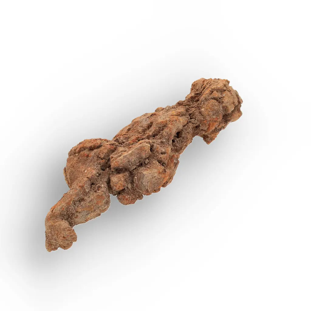 Get your Authentic Madagascan Coprolite Fossil with Knobbly Texture online now or in store at Forever Gems in Franschhoek, South Africa