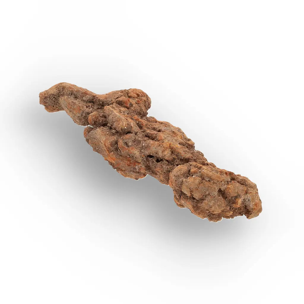 Get your Authentic Madagascan Coprolite Fossil with Knobbly Texture online now or in store at Forever Gems in Franschhoek, South Africa