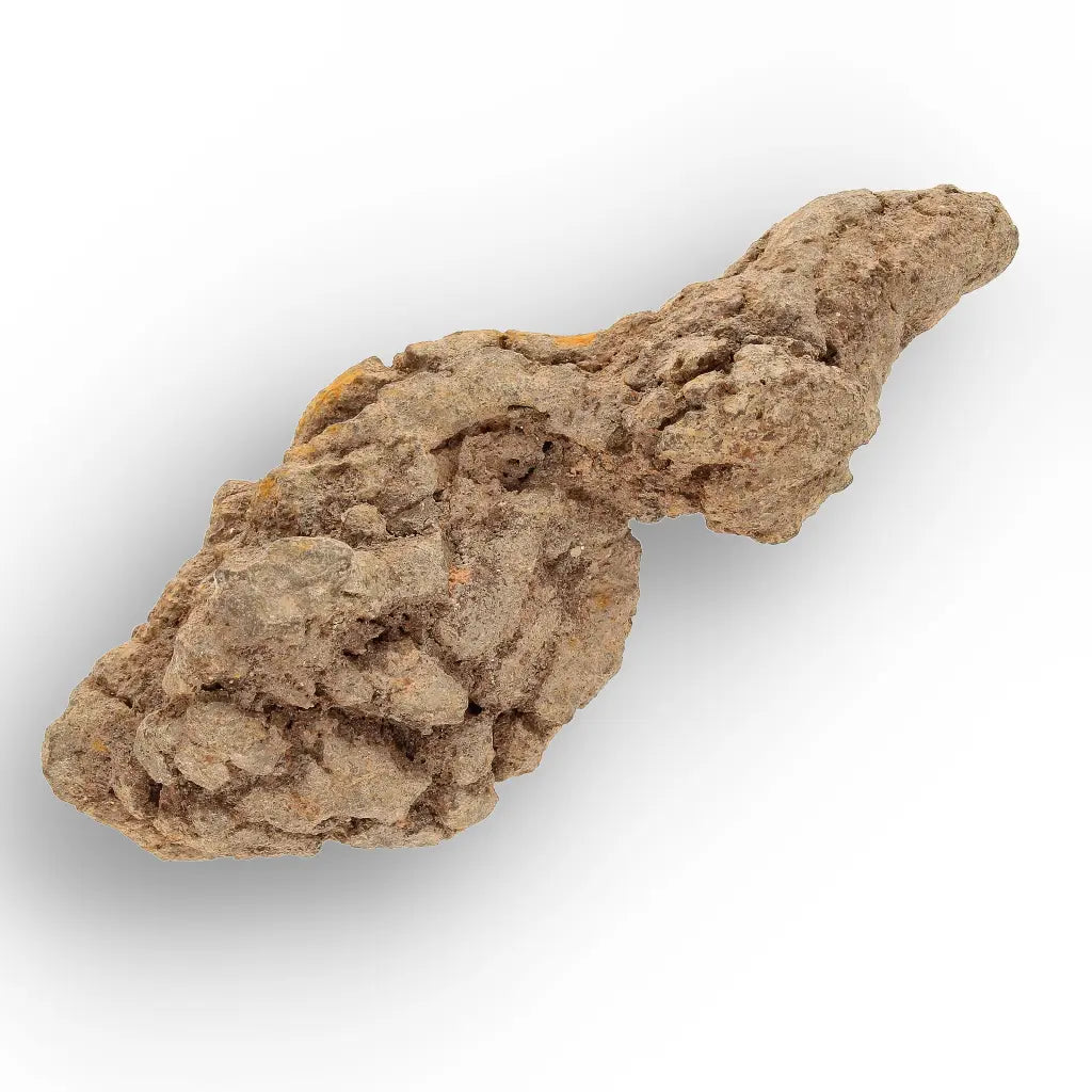 Get your Authentic Madagascar Coprolite Fossil – Real Dinosaur Age Specimen online now or in store at Forever Gems in Franschhoek, South Africa