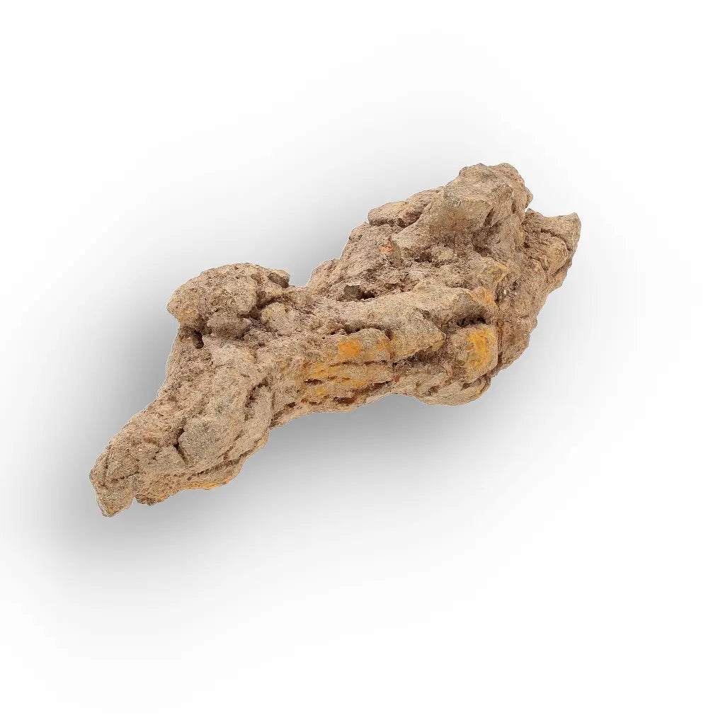 Get your Authentic Madagascar Coprolite Fossil – Real Dinosaur Age Specimen online now or in store at Forever Gems in Franschhoek, South Africa