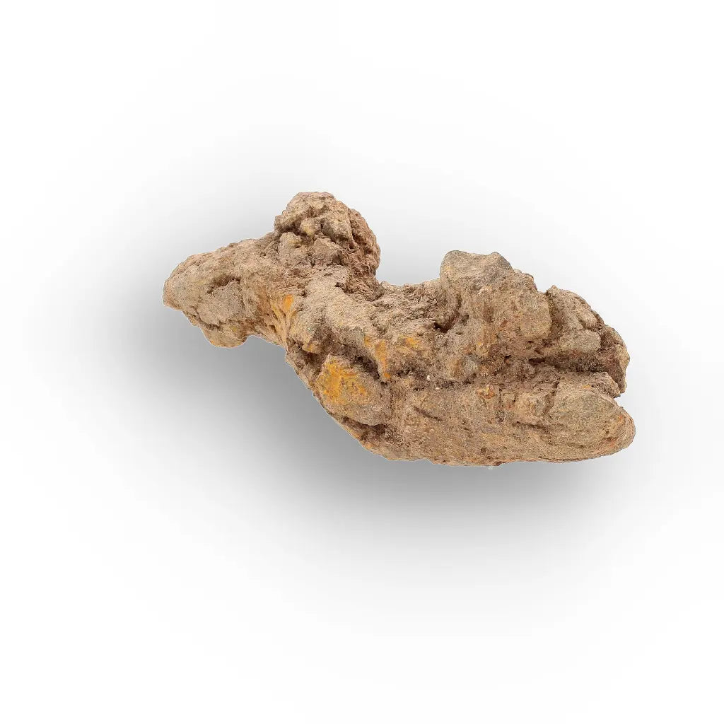 Get your Authentic Madagascar Coprolite Fossil – Real Dinosaur Age Specimen online now or in store at Forever Gems in Franschhoek, South Africa