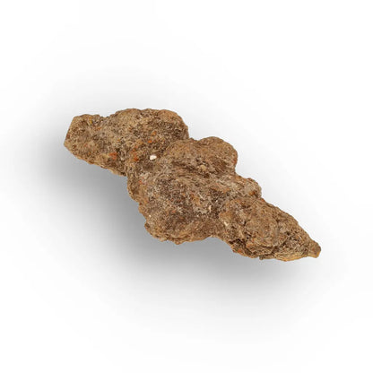 Get your Madagascar Coprolite Fossil – Rare Prehistoric Digestive Relic online now or in store at Forever Gems in Franschhoek, South Africa