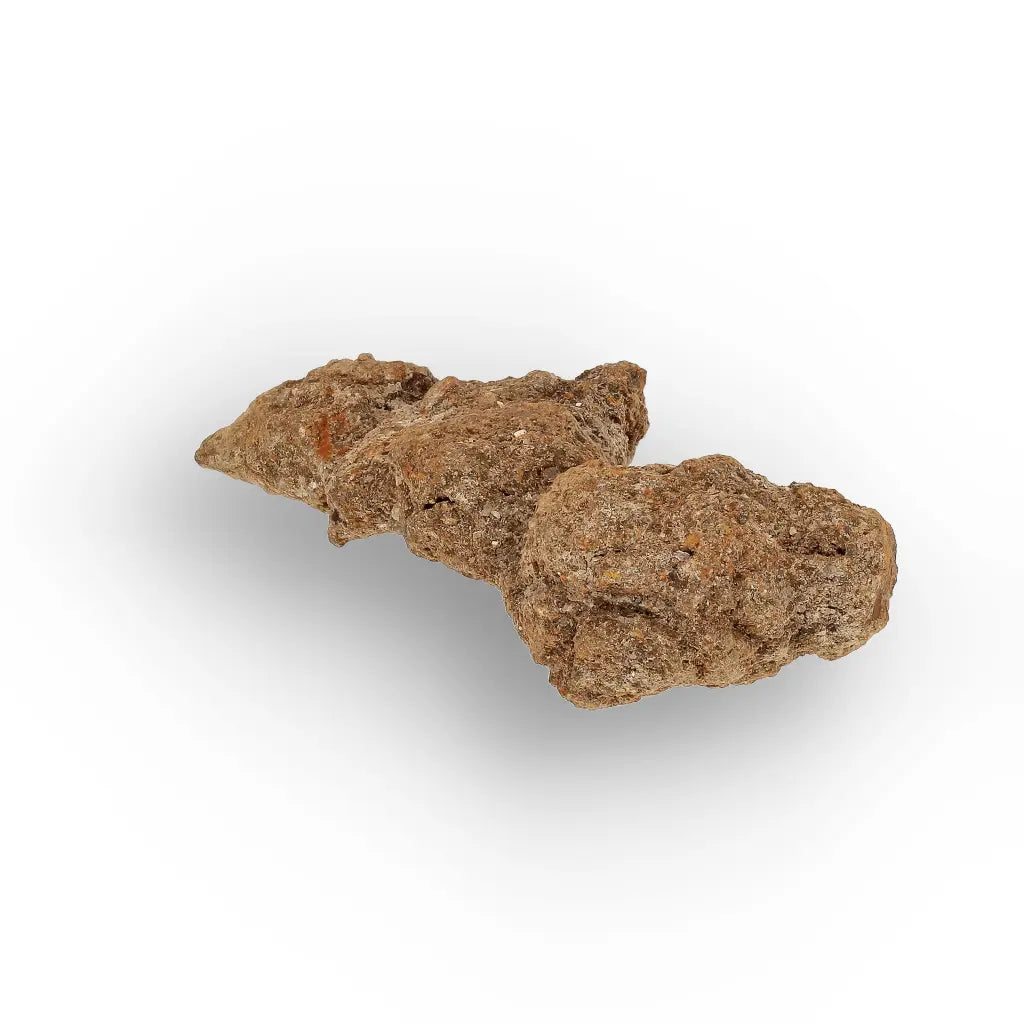 Get your Madagascar Coprolite Fossil – Rare Prehistoric Digestive Relic online now or in store at Forever Gems in Franschhoek, South Africa