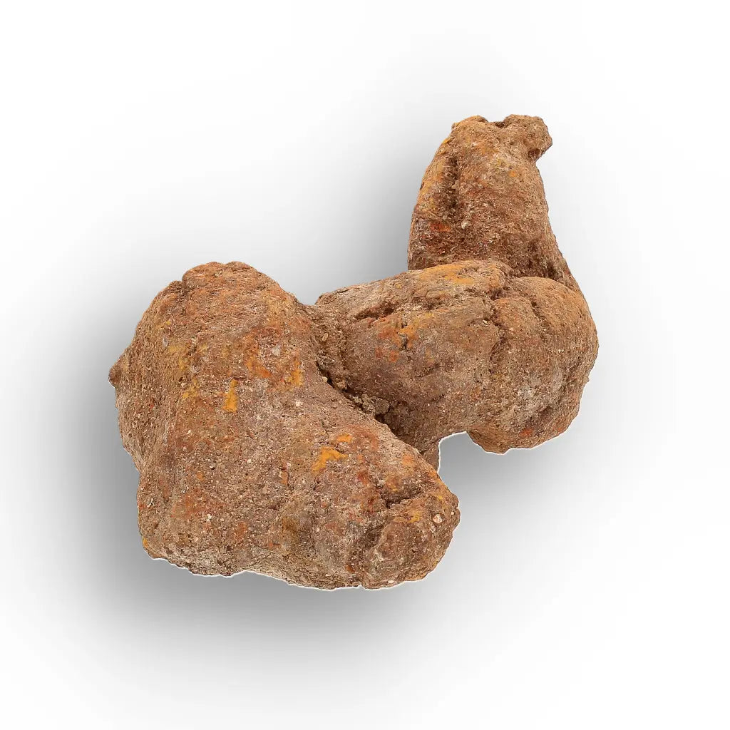 Get your Authentic Madagascan Coprolite Fossil with Twisted Form online now or in store at Forever Gems in Franschhoek, South Africa