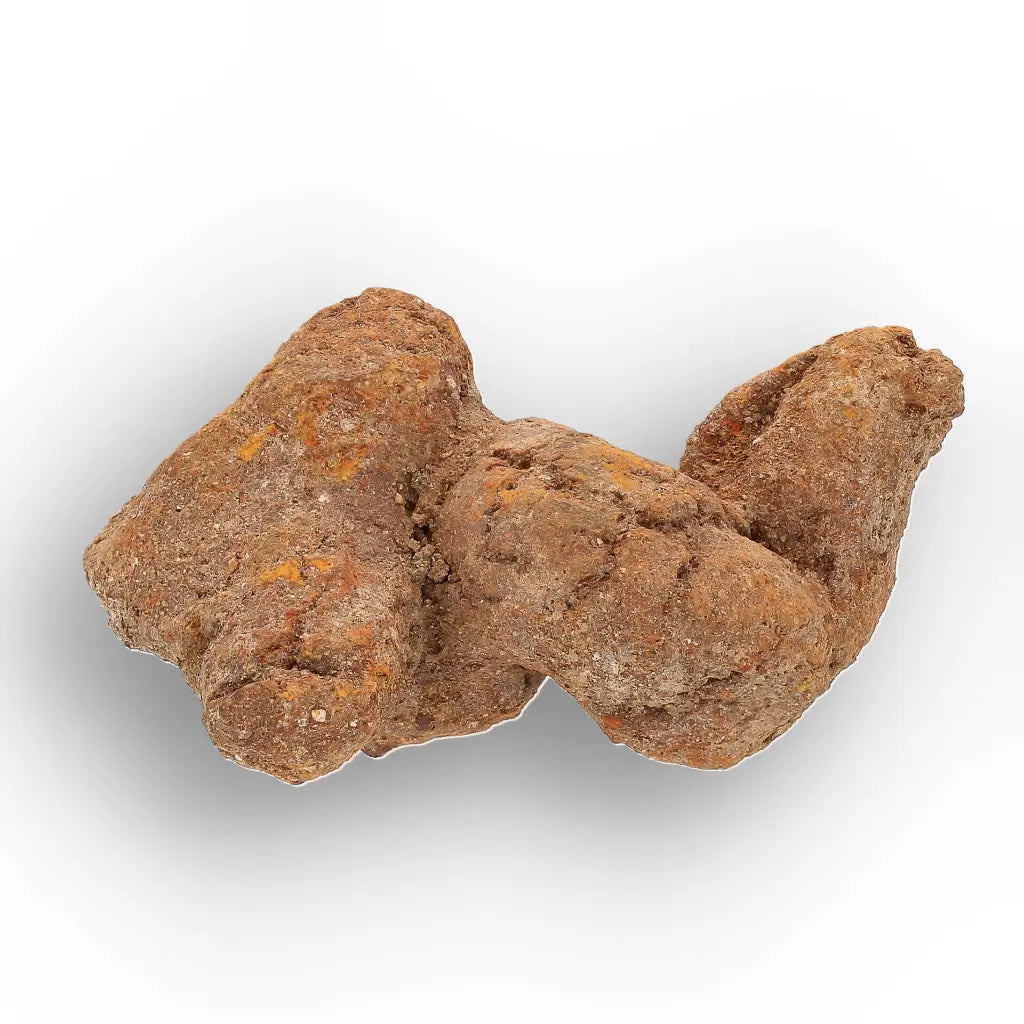 Get your Authentic Madagascan Coprolite Fossil with Twisted Form online now or in store at Forever Gems in Franschhoek, South Africa