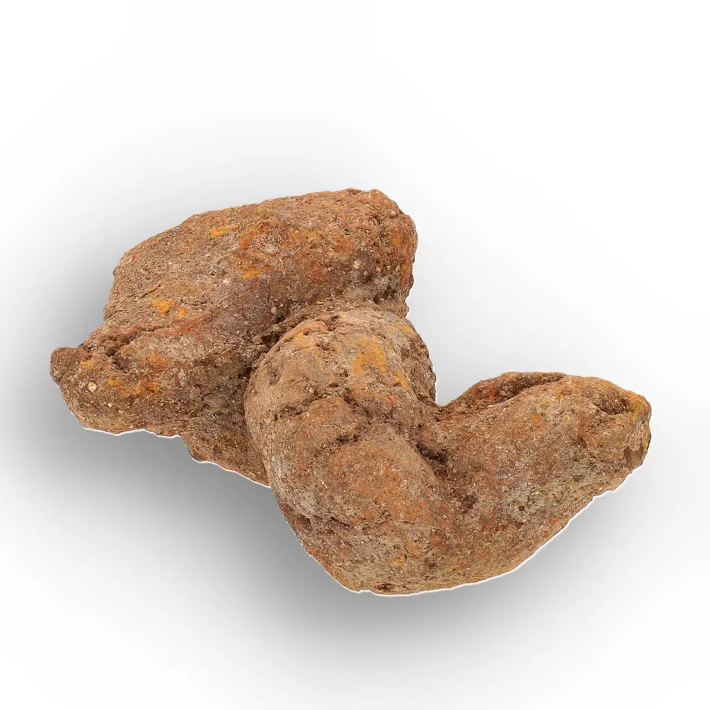 Get your Authentic Madagascan Coprolite Fossil with Twisted Form online now or in store at Forever Gems in Franschhoek, South Africa