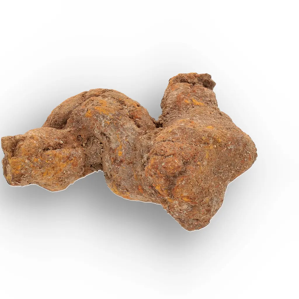 Get your Authentic Madagascan Coprolite Fossil with Twisted Form online now or in store at Forever Gems in Franschhoek, South Africa