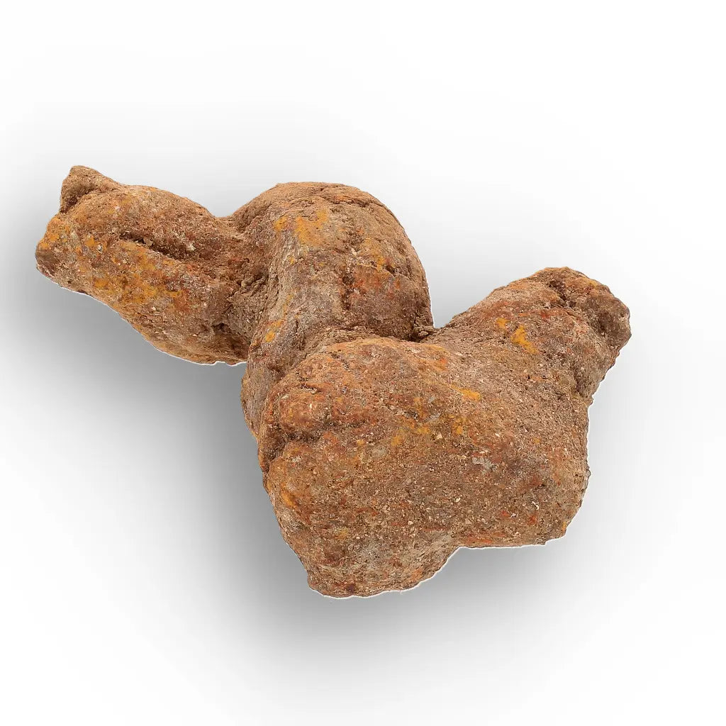Get your Authentic Madagascan Coprolite Fossil with Twisted Form online now or in store at Forever Gems in Franschhoek, South Africa