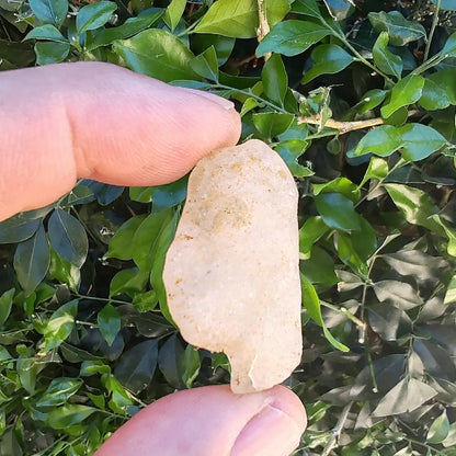 Get your 13g Libyan Desert Glass - Pharaoh's Sacred Stone: Tutankhamun's Legendary Desert Gem online now or in store at Forever Gems in Franschhoek, South Africa