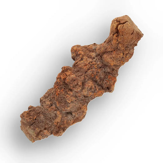 Get your Late Cretaceous Coprolite Fossil Madagascar – Collector Specimen online now or in store at Forever Gems in Franschhoek, South Africa