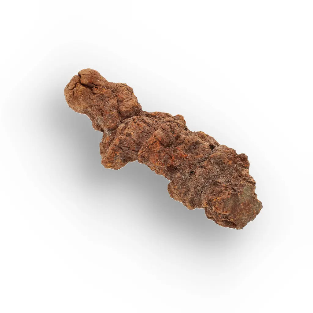 Get your Late Cretaceous Coprolite Fossil Madagascar – Collector Specimen online now or in store at Forever Gems in Franschhoek, South Africa