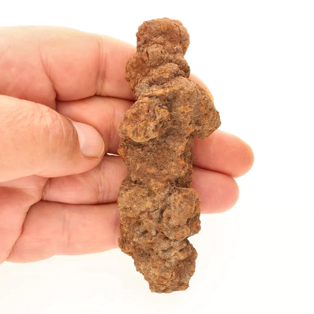Get your Late Cretaceous Coprolite Fossil Madagascar – Collector Specimen online now or in store at Forever Gems in Franschhoek, South Africa