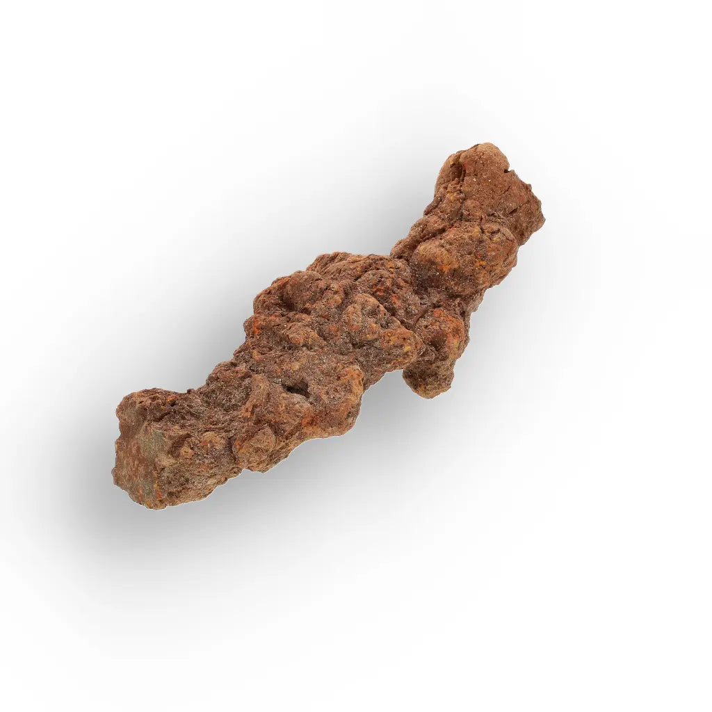 Get your Late Cretaceous Coprolite Fossil Madagascar – Collector Specimen online now or in store at Forever Gems in Franschhoek, South Africa
