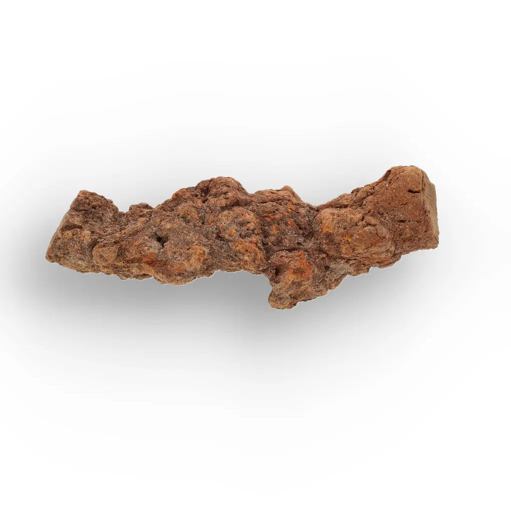 Get your Late Cretaceous Coprolite Fossil Madagascar – Collector Specimen online now or in store at Forever Gems in Franschhoek, South Africa