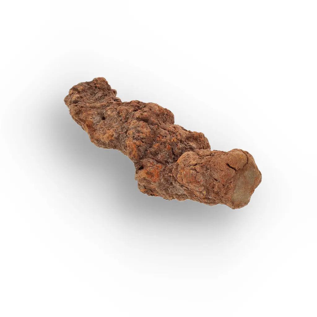 Get your Late Cretaceous Coprolite Fossil Madagascar – Collector Specimen online now or in store at Forever Gems in Franschhoek, South Africa