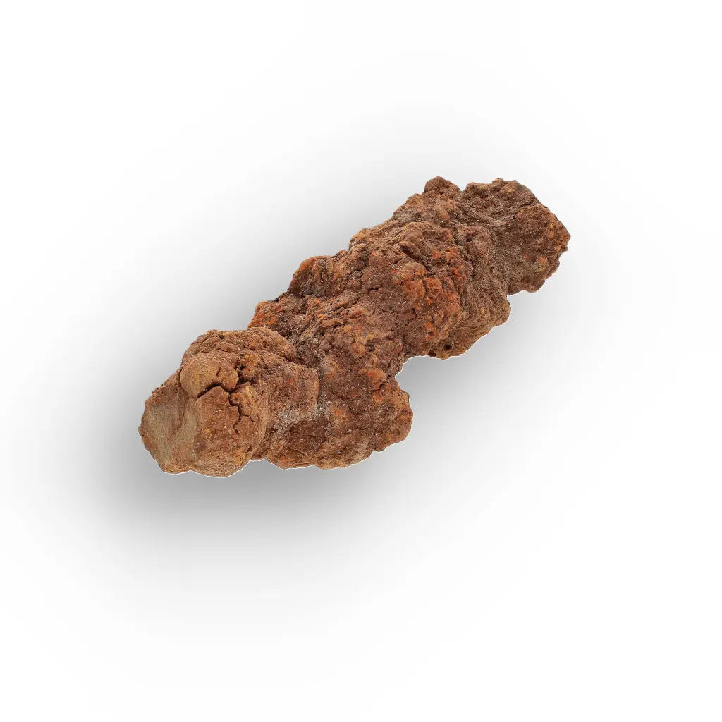 Get your Late Cretaceous Coprolite Fossil Madagascar – Collector Specimen online now or in store at Forever Gems in Franschhoek, South Africa