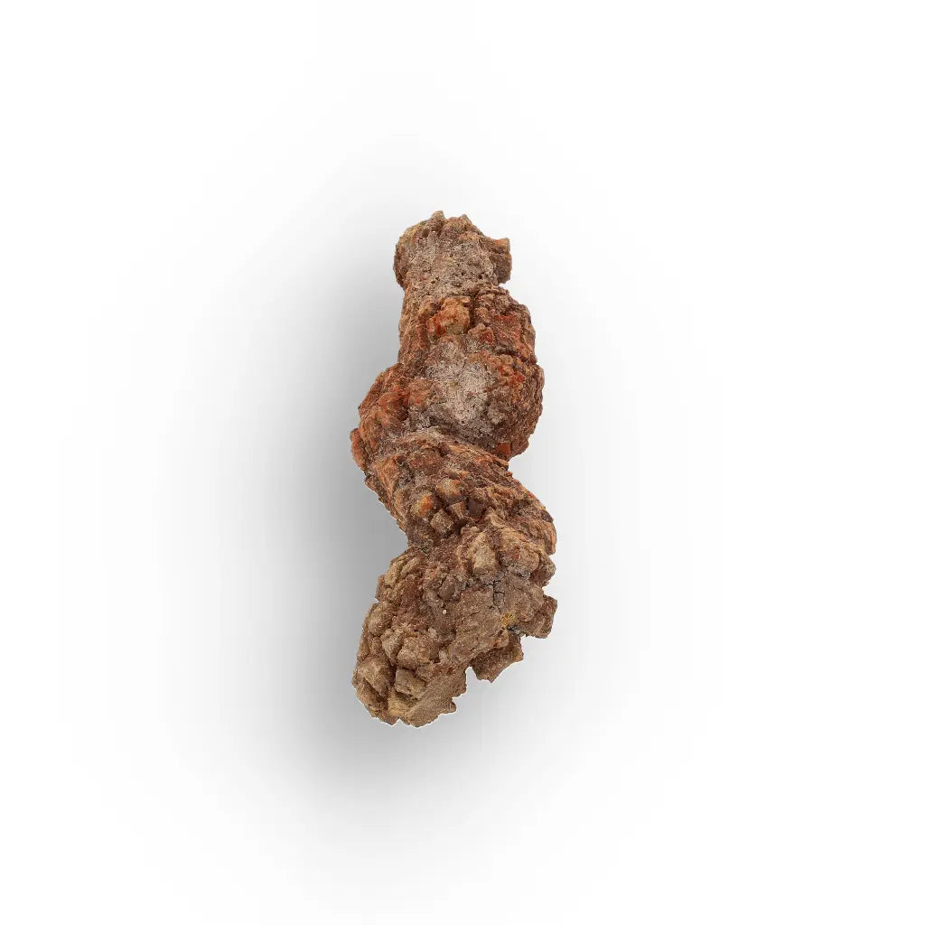 Get your Real Fossilised Dinosaur Age Coprolite from Madagascar online now or in store at Forever Gems in Franschhoek, South Africa