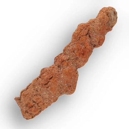 Get your Authentic Madagascan Coprolite Fossil with Segmented Form online now or in store at Forever Gems in Franschhoek, South Africa