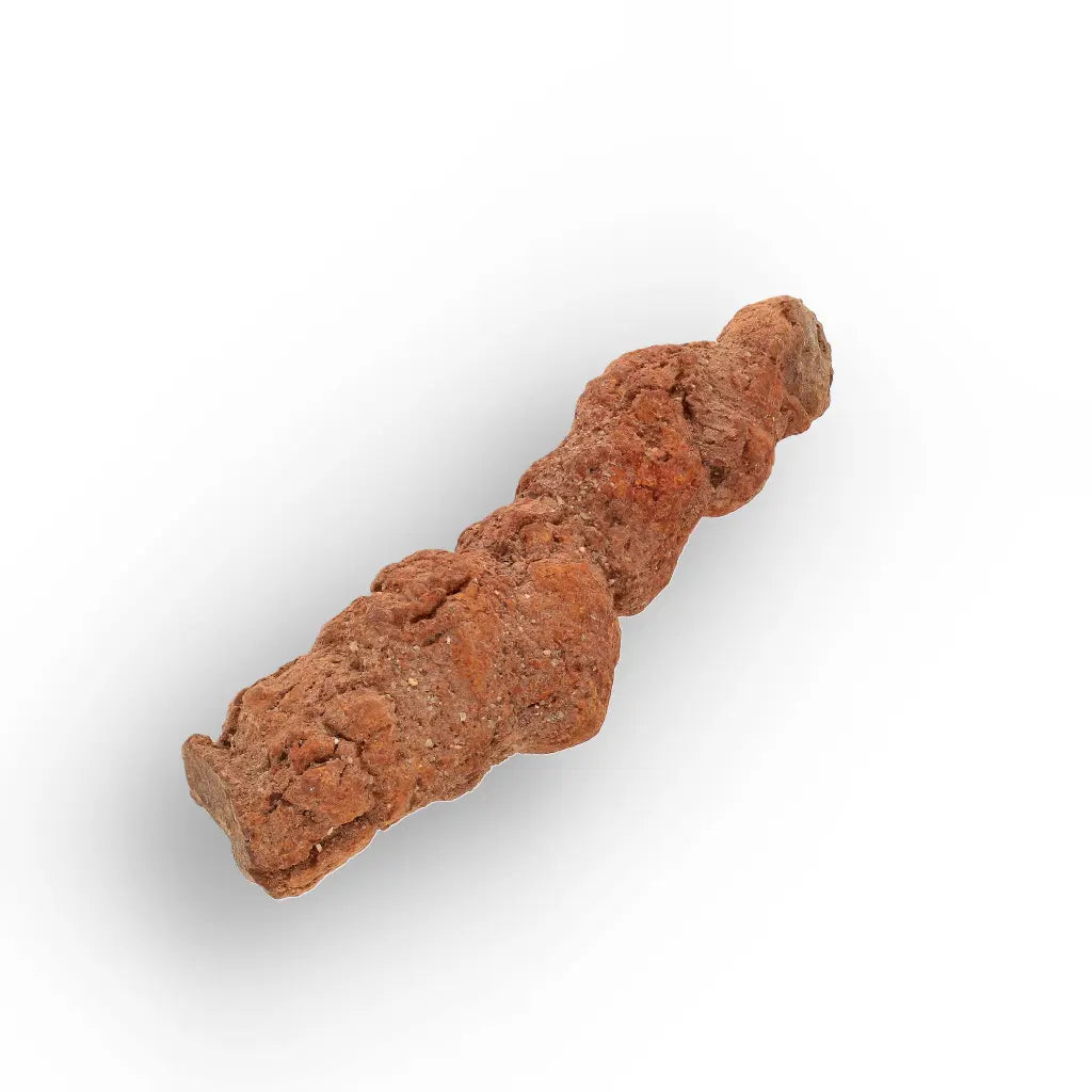 Get your Authentic Madagascan Coprolite Fossil with Segmented Form online now or in store at Forever Gems in Franschhoek, South Africa