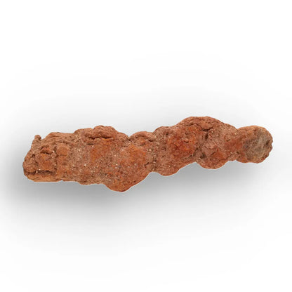 Get your Authentic Madagascan Coprolite Fossil with Segmented Form online now or in store at Forever Gems in Franschhoek, South Africa