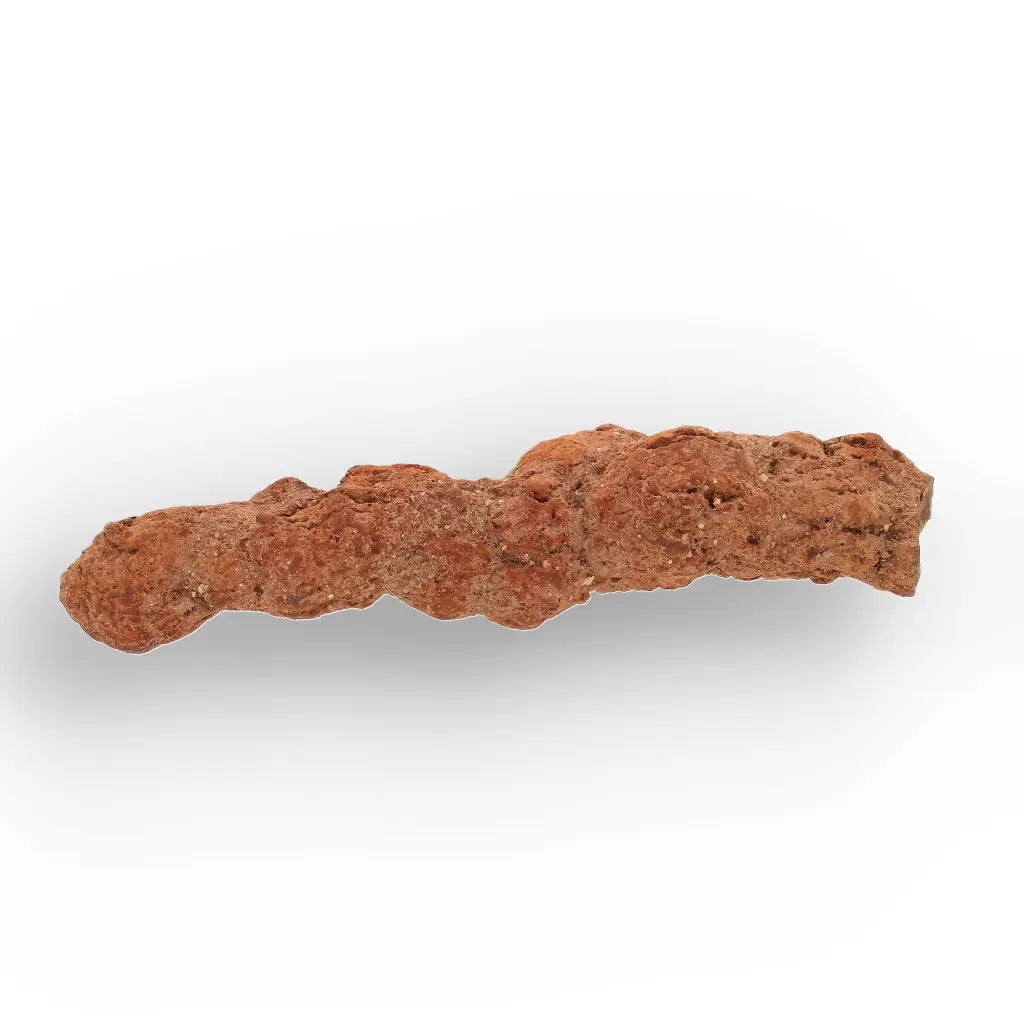 Get your Authentic Madagascan Coprolite Fossil with Segmented Form online now or in store at Forever Gems in Franschhoek, South Africa
