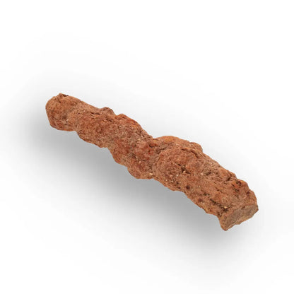 Get your Authentic Madagascan Coprolite Fossil with Segmented Form online now or in store at Forever Gems in Franschhoek, South Africa