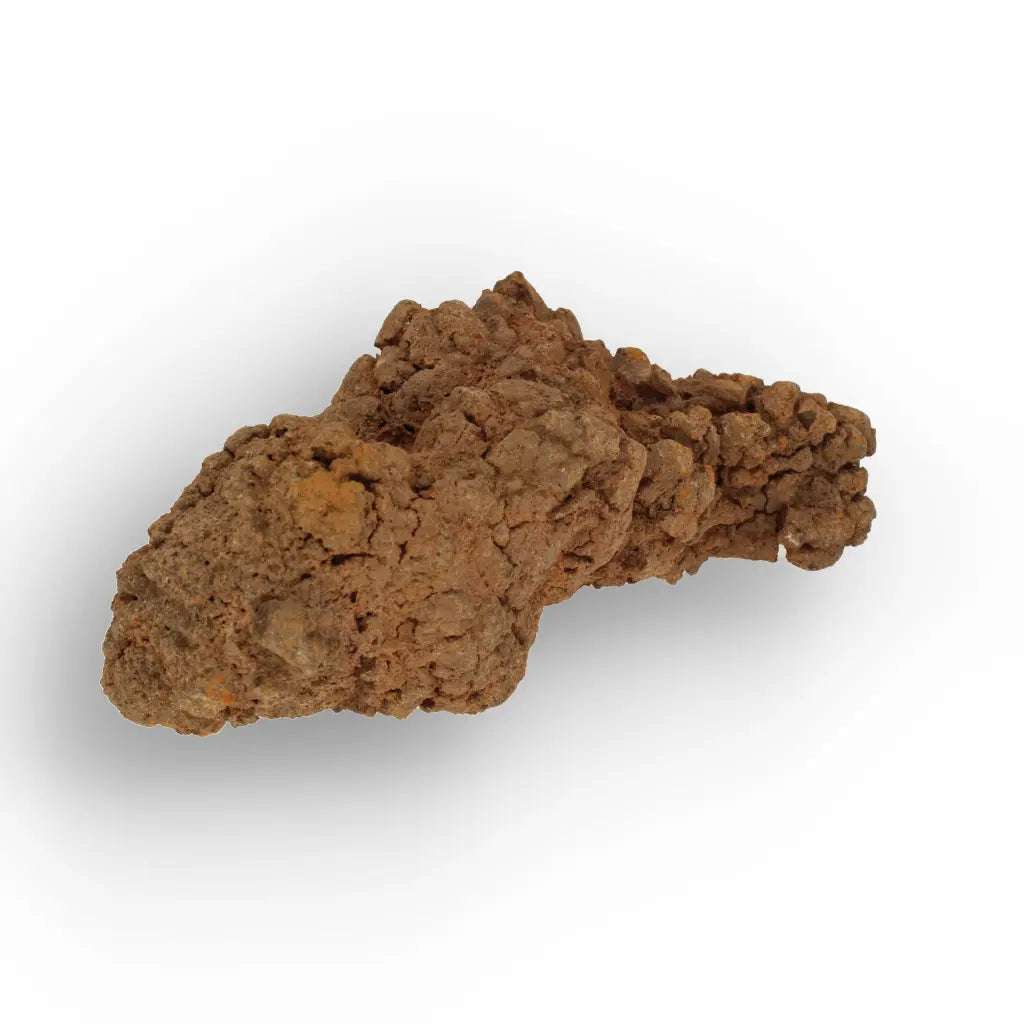 Get your Prehistoric Coprolite Fossil Madagascar – Genuine Trace Evidence online now or in store at Forever Gems in Franschhoek, South Africa