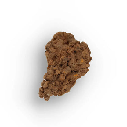 Get your Prehistoric Coprolite Fossil Madagascar – Genuine Trace Evidence online now or in store at Forever Gems in Franschhoek, South Africa