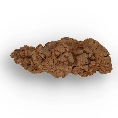 Get your Prehistoric Coprolite Fossil Madagascar – Genuine Trace Evidence online now or in store at Forever Gems in Franschhoek, South Africa