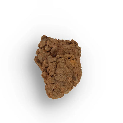 Get your Prehistoric Coprolite Fossil Madagascar – Genuine Trace Evidence online now or in store at Forever Gems in Franschhoek, South Africa