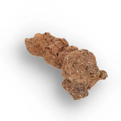 Get your Authentic Madagascan Coprolite Fossil with Knotted Segments online now or in store at Forever Gems in Franschhoek, South Africa