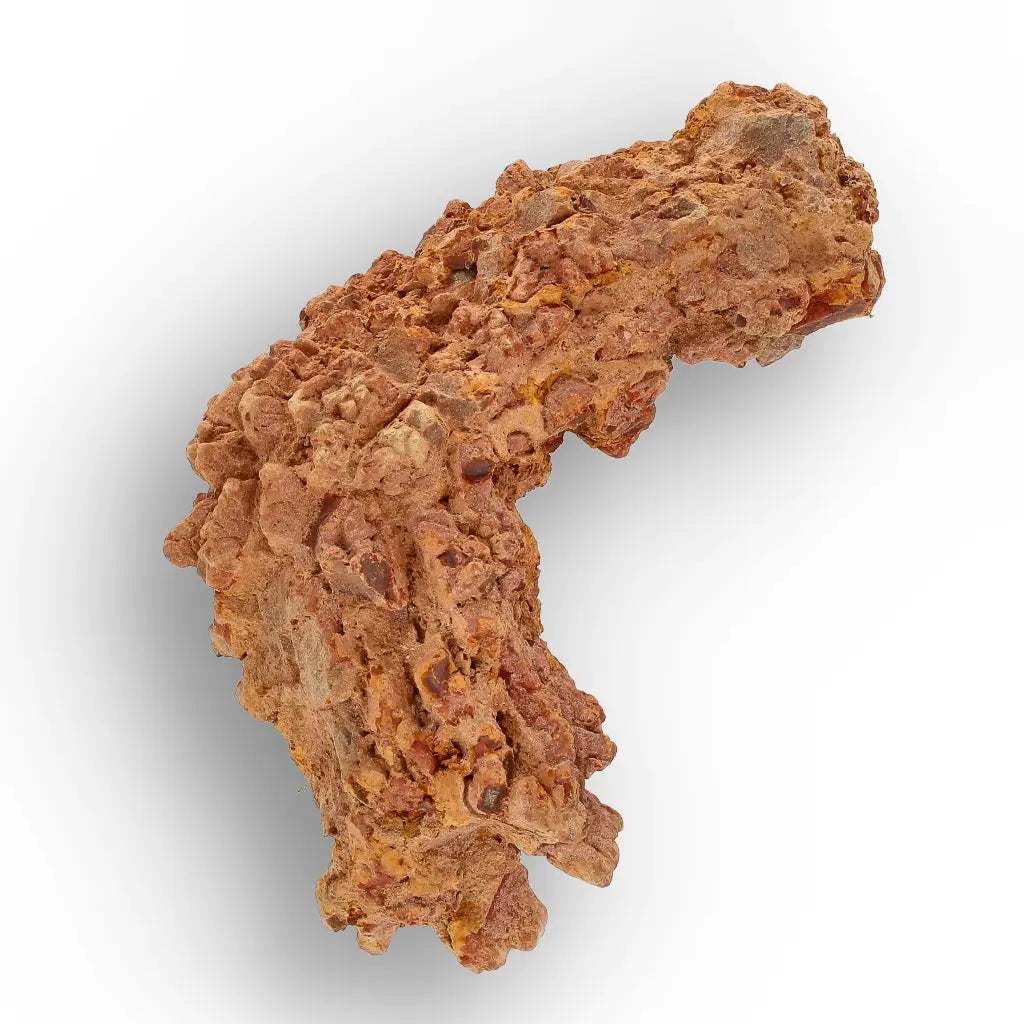 Get your Dinosaur Age Coprolite from Madagascar – Authentic Fossil Specimen online now or in store at Forever Gems in Franschhoek, South Africa