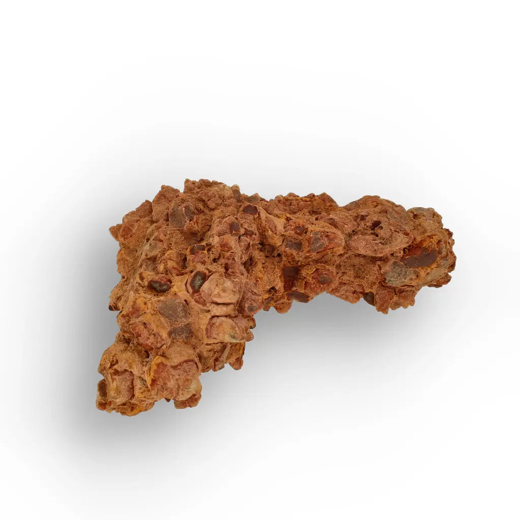 Get your Dinosaur Age Coprolite from Madagascar – Authentic Fossil Specimen online now or in store at Forever Gems in Franschhoek, South Africa