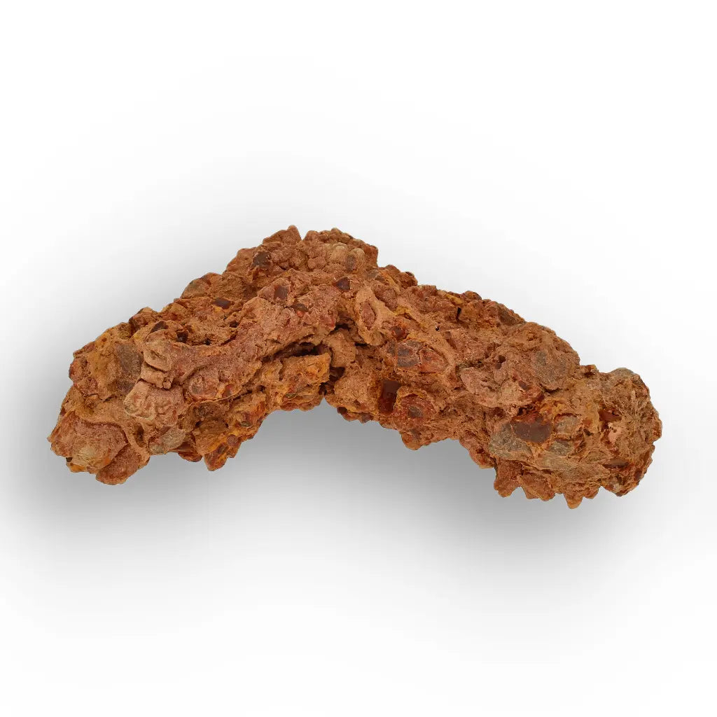 Get your Dinosaur Age Coprolite from Madagascar – Authentic Fossil Specimen online now or in store at Forever Gems in Franschhoek, South Africa