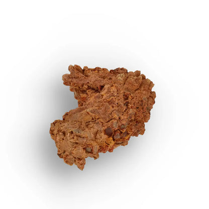 Get your Dinosaur Age Coprolite from Madagascar – Authentic Fossil Specimen online now or in store at Forever Gems in Franschhoek, South Africa