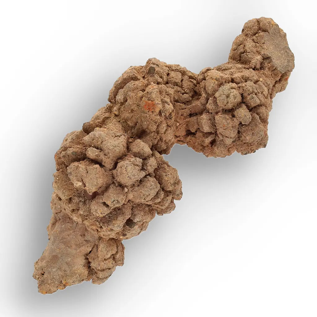 Get your Authentic Madagascan Coprolite Fossil with Nodular Texture online now or in store at Forever Gems in Franschhoek, South Africa