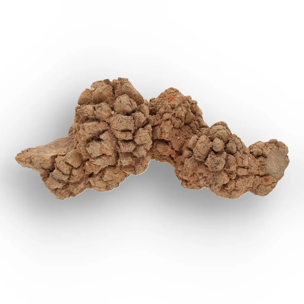 Get your Authentic Madagascan Coprolite Fossil with Nodular Texture online now or in store at Forever Gems in Franschhoek, South Africa