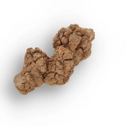 Get your Authentic Madagascan Coprolite Fossil with Nodular Texture online now or in store at Forever Gems in Franschhoek, South Africa
