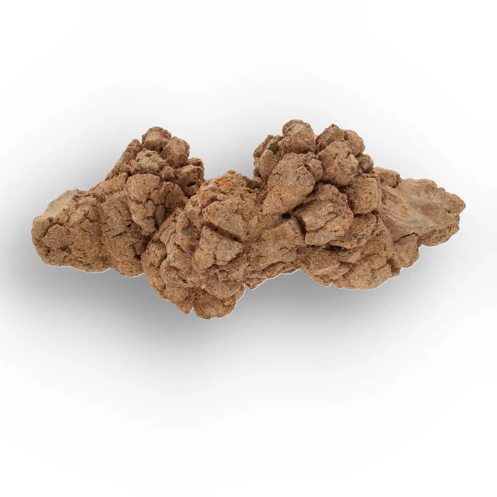 Get your Authentic Madagascan Coprolite Fossil with Nodular Texture online now or in store at Forever Gems in Franschhoek, South Africa