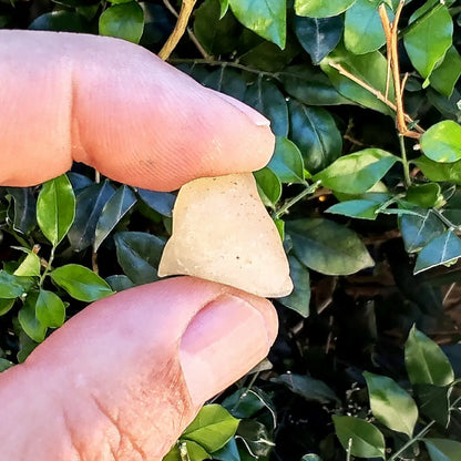 Get your 5g Libyan Desert Glass – Ancient Light from the Sahara online now or in store at Forever Gems in Franschhoek, South Africa
