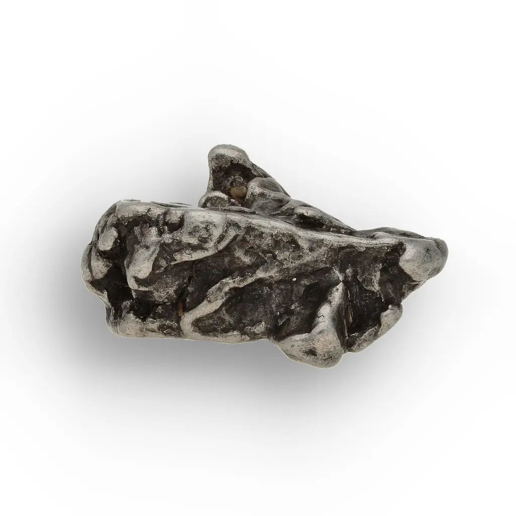 Authentic Campo del Cielo Iron Meteorite from Argentina