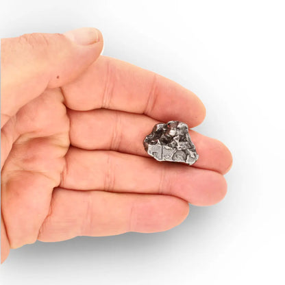 Authentic Campo del Cielo Iron Meteorite from Argentina
