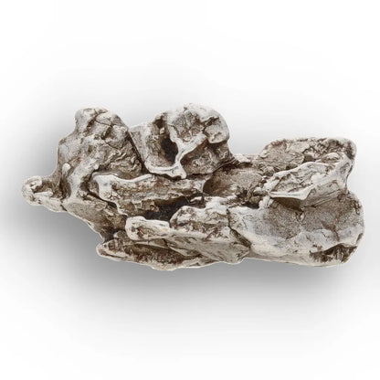 Authentic Campo del Cielo Meteorite Argentina
