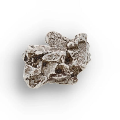 Authentic Campo del Cielo Meteorite Argentina