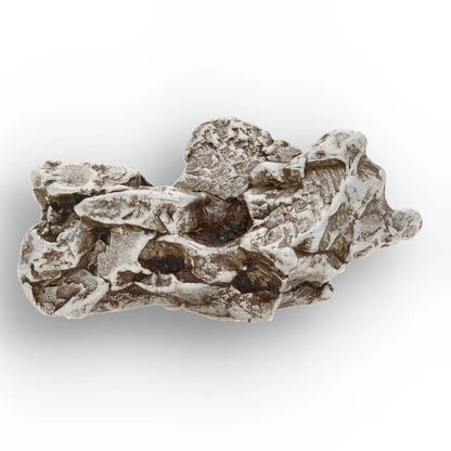 Authentic Campo del Cielo Meteorite Argentina