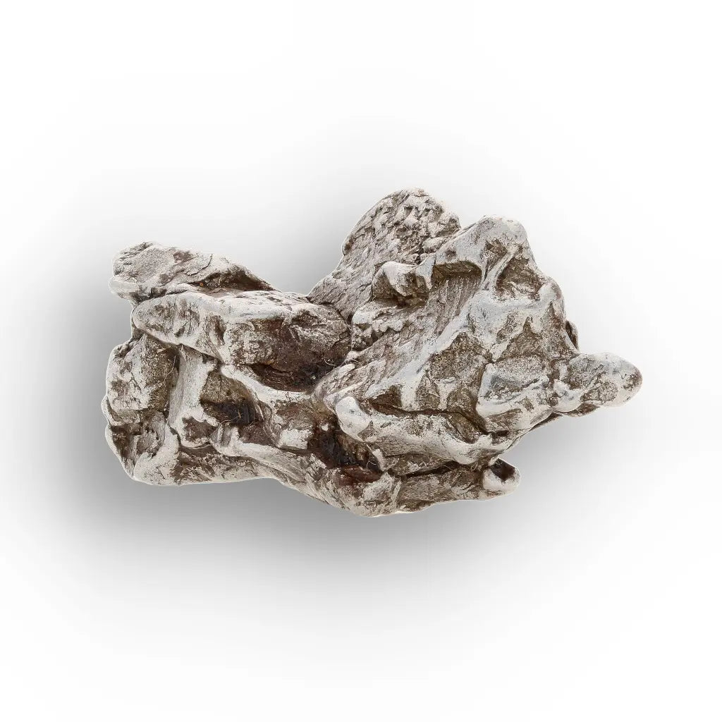 Authentic Campo del Cielo Meteorite Argentina