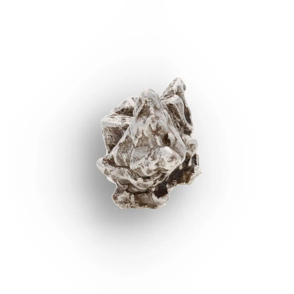Authentic Campo del Cielo Meteorite Argentina