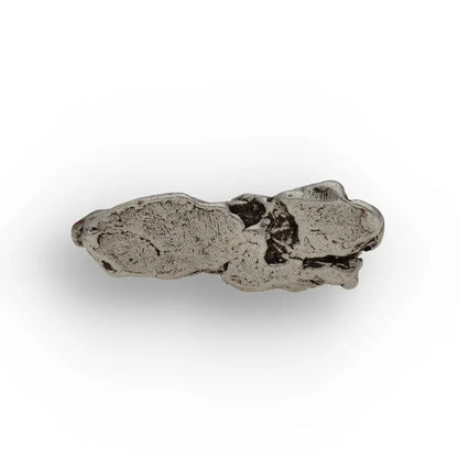 Campo del Cielo Meteorite Sculpted Iron Collector Relic