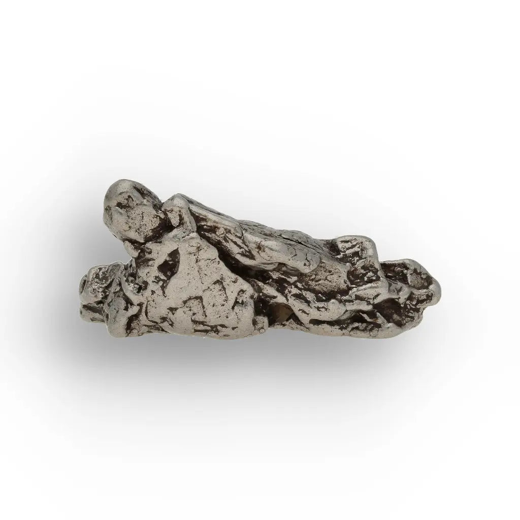 Campo del Cielo Meteorite Sculpted Iron Collector Relic